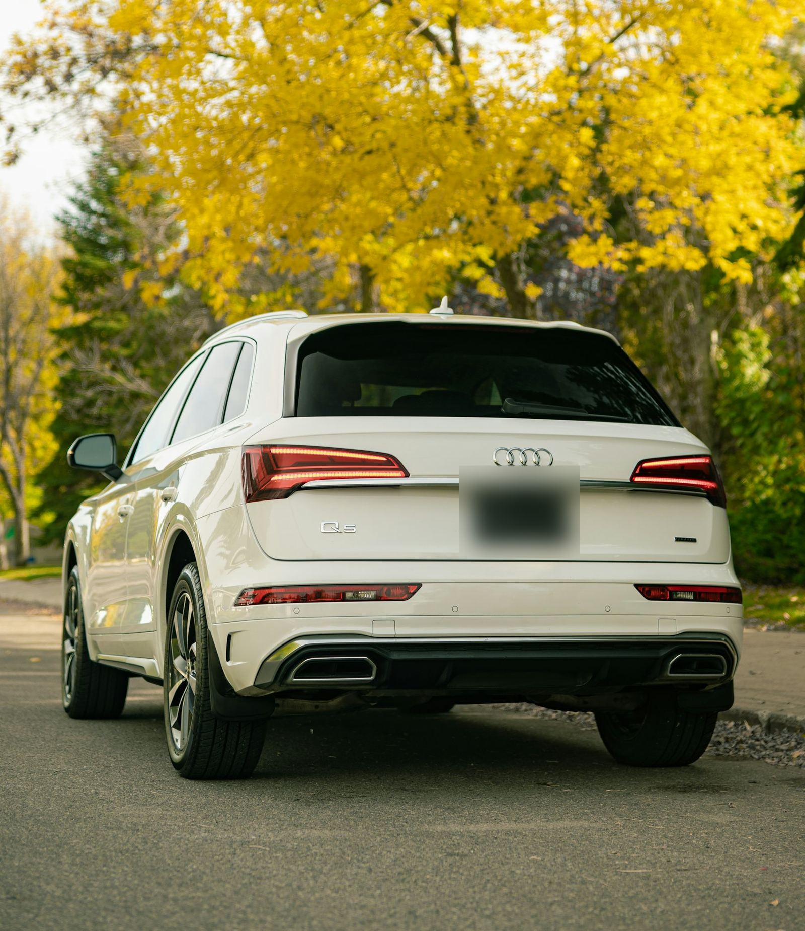 A white Audi SUV under yellow fall leaves