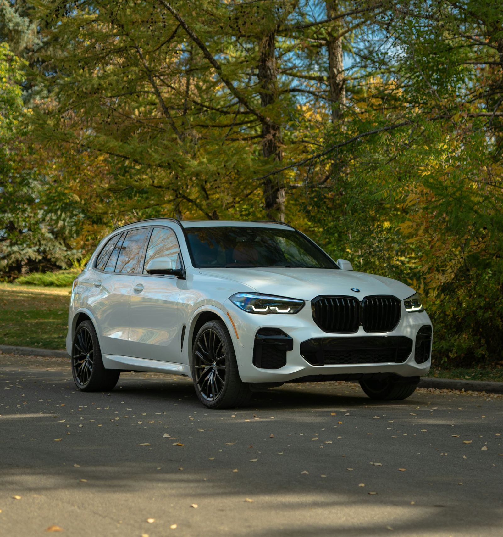 A white BMW SUV beside fall trees